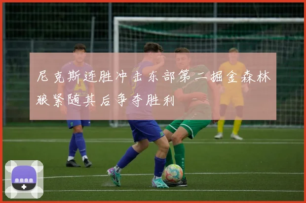 尼克斯连胜冲击东部第二掘金森林狼紧随其后争夺胜利